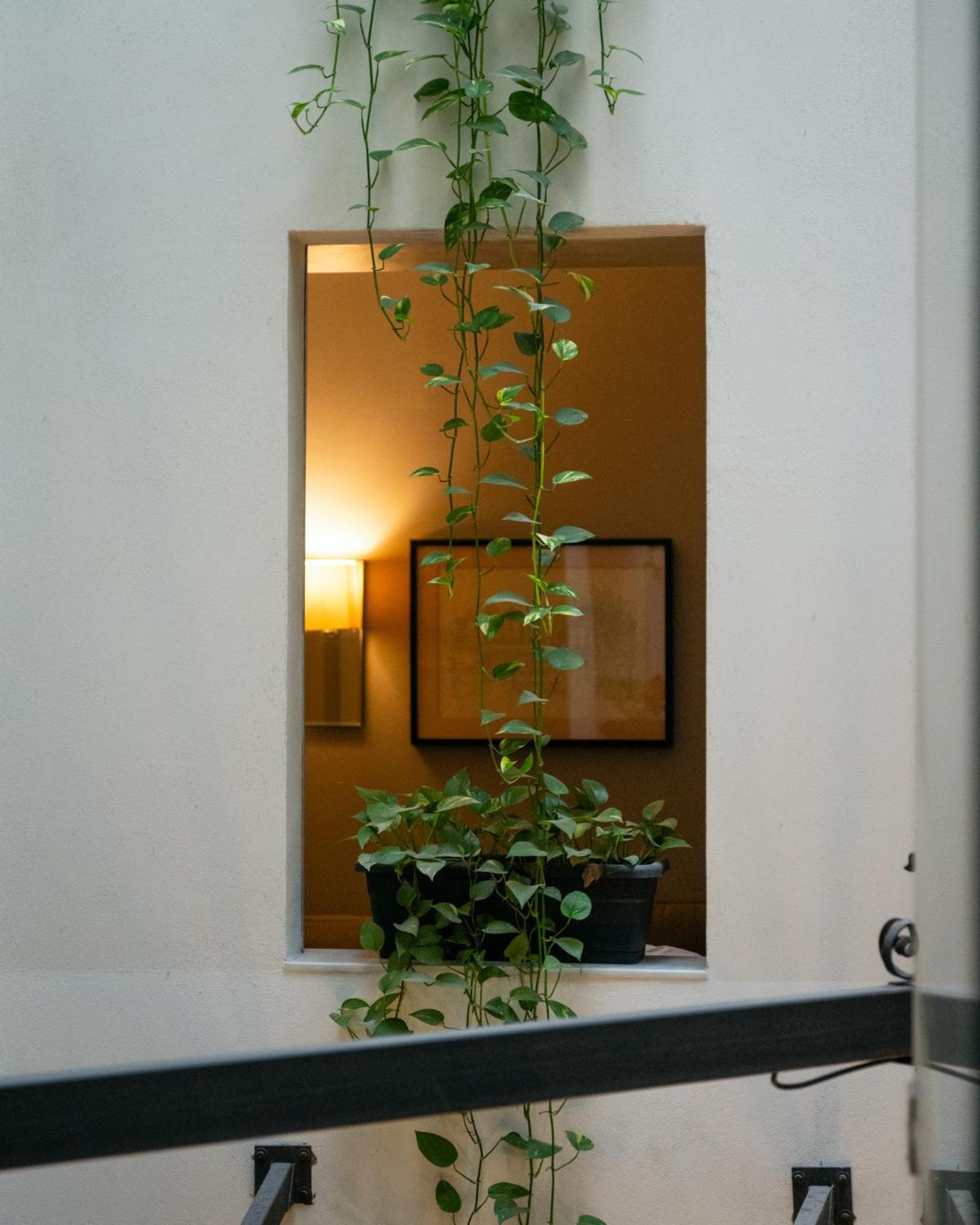 Hotell Ramblas Internacional 3*
